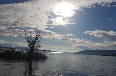 Bild Sonnenuntergang am Lago Maggiore